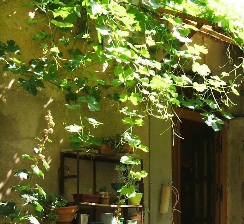 La Vigne Bleue Otel Olonzac Dış mekan fotoğraf