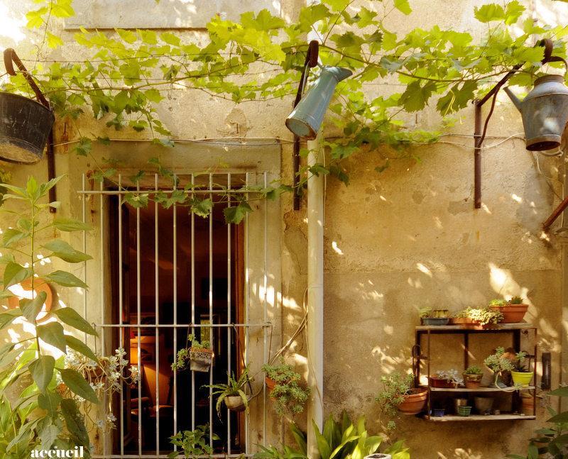 La Vigne Bleue Otel Olonzac Dış mekan fotoğraf